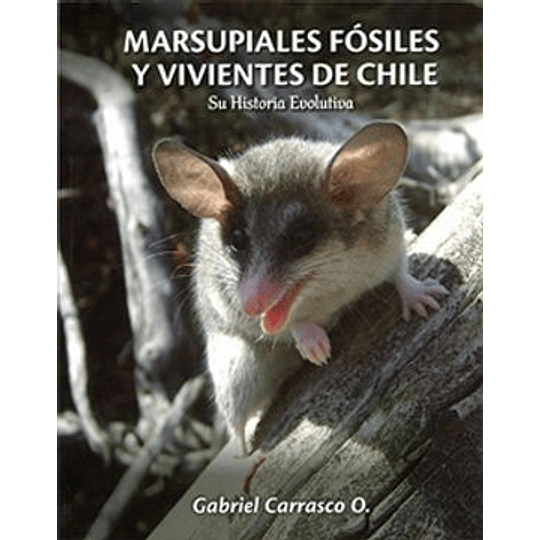 Marsupiales Fosiles Y Vivientes De Chile