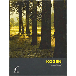 El Mapa Roto Kogen