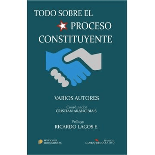 Todo Sobre El Proceso Constituyente