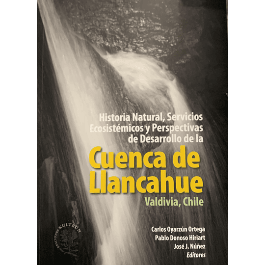 Cuenca De Llancahue