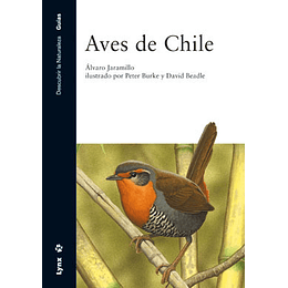 Aves De Chile 