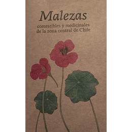 Malezas Comestibles Y Medicinales De La Zona Central De Chile