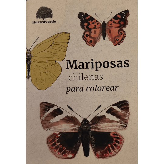 Mariposas Chilenas Para Colorear