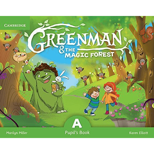 Greenman And The Magic Forest A Pupil S Book With Stickers And Pop-outs