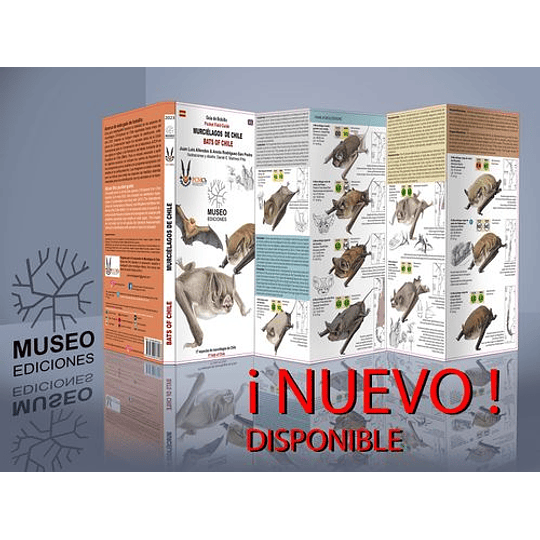 Murciélagos De Chile