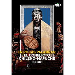 En Pocas Palabras: El Conflicto Chileno-mapuche