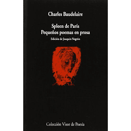 Spleen De Paris: Pequeños Poemas En Prosa