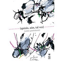 (Quizás, Aún, Tal Vez)  
	Libro Nuevo