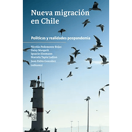 Nueva Migracion En Chile