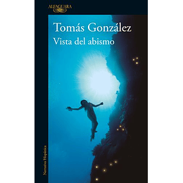Vista Del Abismo
