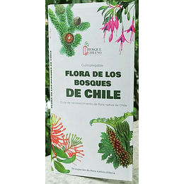 Flora De Los Bosques De Chile 