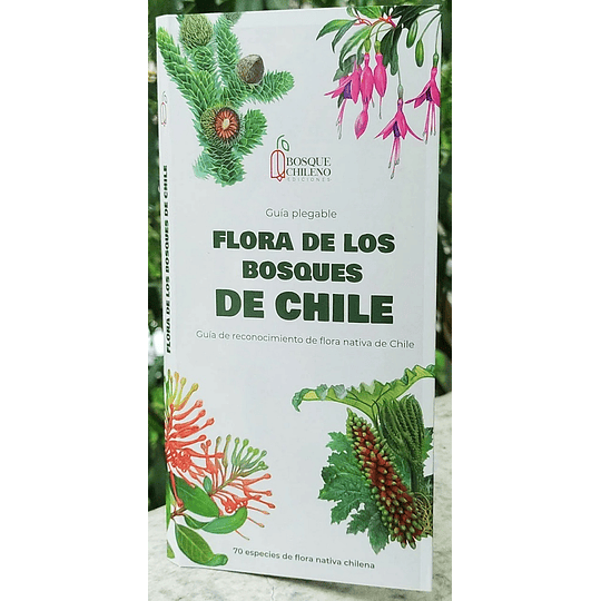 Flora De Los Bosques De Chile 