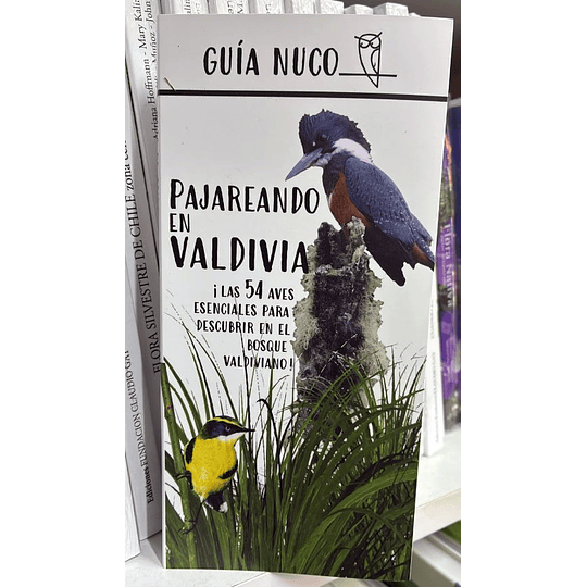 Guia De Aves Del Bosque Valdiviano 