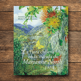 La Flora Chilena En La Mirada De Marianne North