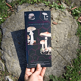 Guia De Bolsillo - Funga Toxica Y Psicoactiva