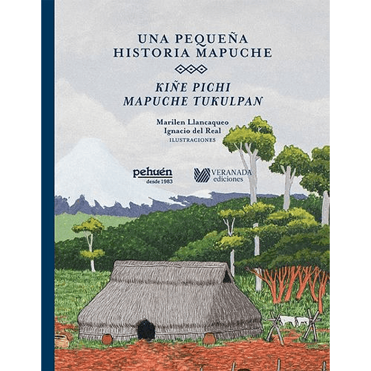 Pequeña Historia Mapuche, Un