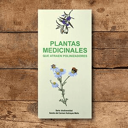 Plantas Medicinales Que Atraen Polinizadores