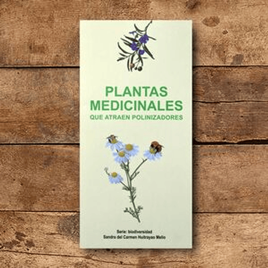 Plantas Medicinales Que Atraen Polinizadores