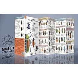 Guia De Bolsillo - Coleopteros