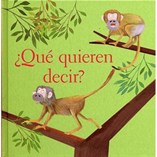 ¿Que Quieren Decir?