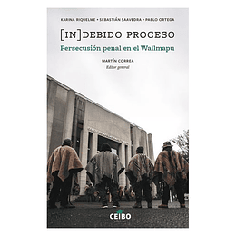 Indebido Proceso Persecucion Penal En El Wallmapu