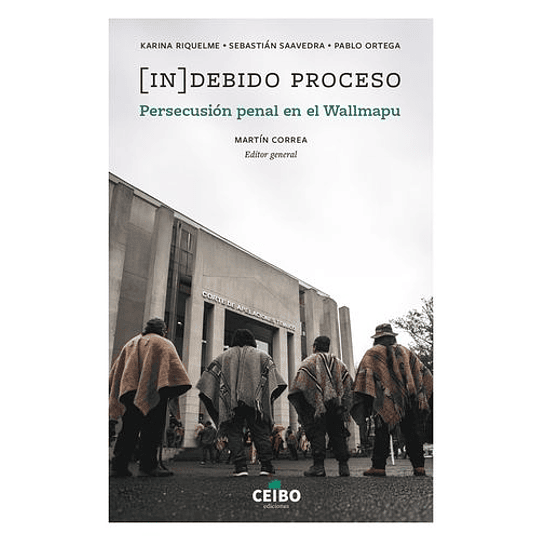 Indebido Proceso Persecucion Penal En El Wallmapu