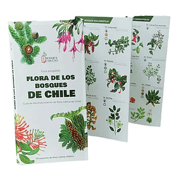 Flora Silvestre De Chile Zona Sur Guia Desplegable 