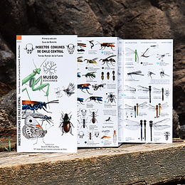 Guia De Bolsillo - Insectos Comunes De Chile Central