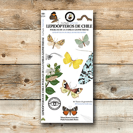 Guia De Los Lepidopteros De Chile
