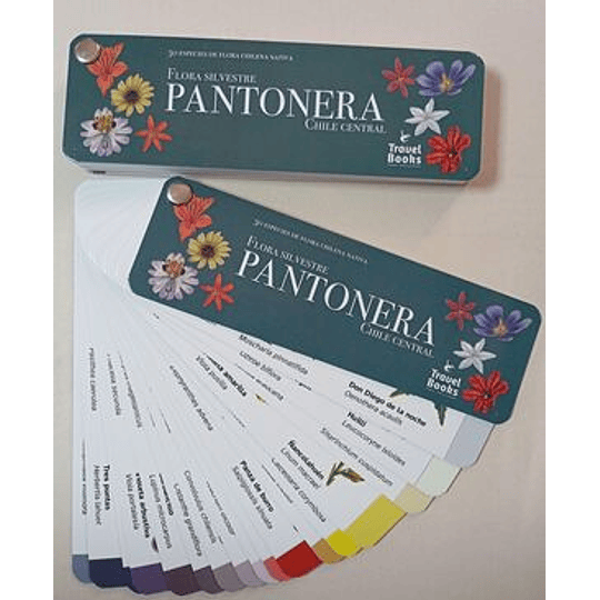 Pantonera Flora Silvestre Chile Central 