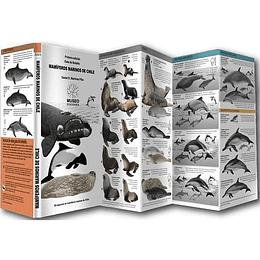 Mamiferos Marinos De Chile Desplegable (Bilingue)