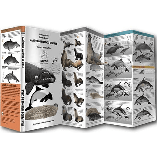 Mamiferos Marinos De Chile Desplegable (Bilingue)