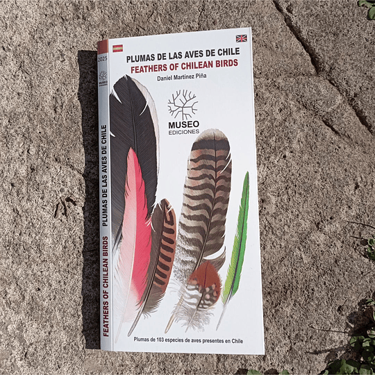 Guia De Bolsillo - Plumas De Las Aves De Chile