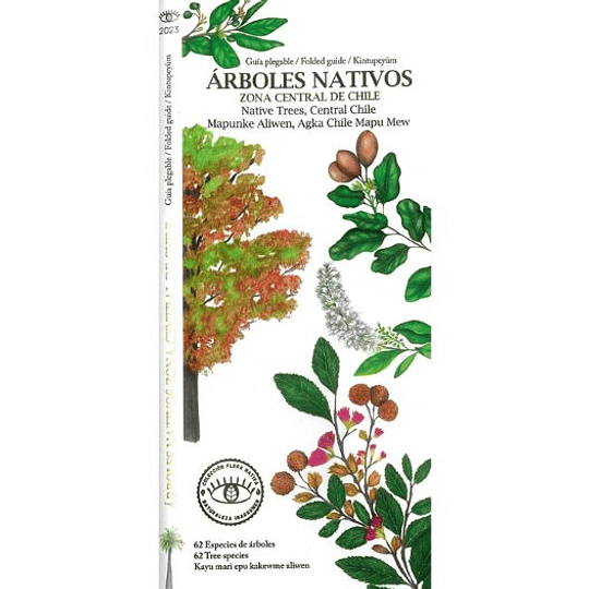 Arboles Nativos De La Zona Central De Chile 