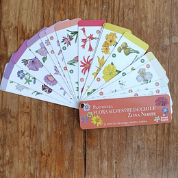 Pantonera Flores Silvestres De Chile Zona Norte