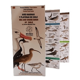 Aves Marinas Y Playeras De Chile