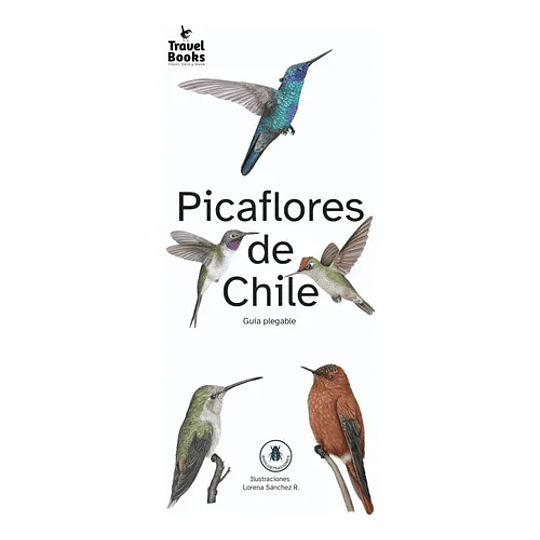Picaflores De Chile