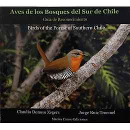 Aves De Los Bosques Del Sur De Chile