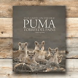 En El Limite Puma Torres Del Paine
