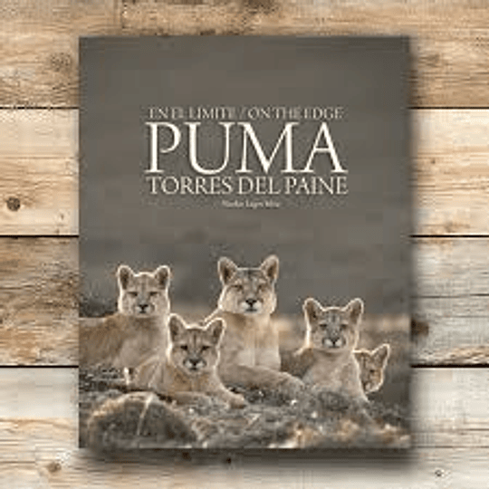 En El Limite Puma Torres Del Paine