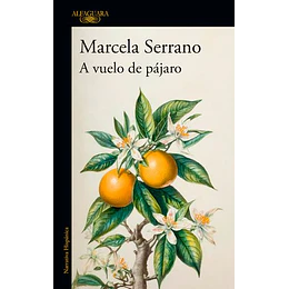 A Vuelo De Pajaro