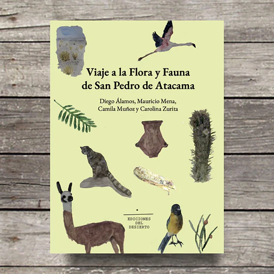 Viaje A La Flora Y Fauna De San Perdo De Atacama 