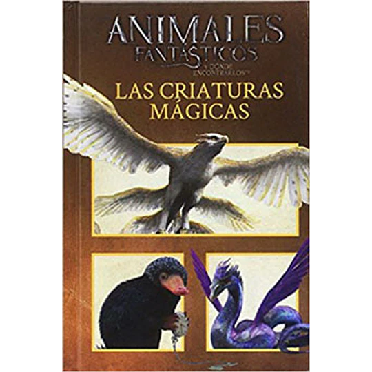 Animales Fantasticos Las Criaturas Magicas