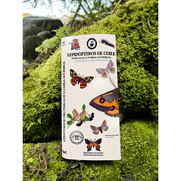 Guia Plegable Lepidopteros De Chile, Polillas De La Familia Saturniidae