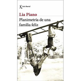 Planimetría De Una Familia Feliz