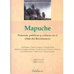 Mapuche  - Procesos Politicas Y Culturas En El Chile Del Bicentenario -