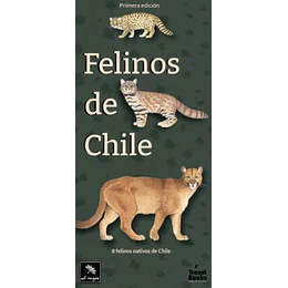 Felinos De Chile