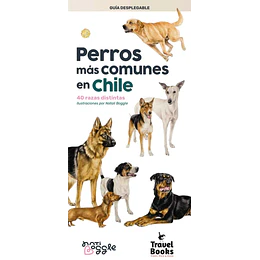 Perros Mas Comunes En Chile. 40 Razas Distintas