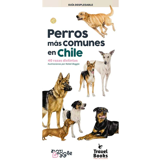 Perros Mas Comunes En Chile. 40 Razas Distintas