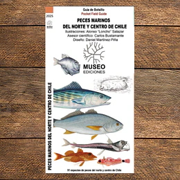 Guia Peces Marinos Del Norte Y Centro De Chile